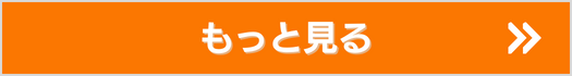 もっと詳しく見る